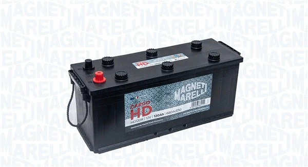 Starter Battery (069120680042)