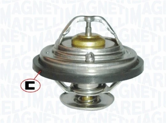 Thermostat, coolant (352317101280)
