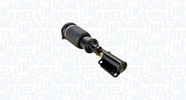 Air Suspension Strut (350502100001)