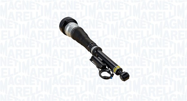Air Suspension Strut (350491400001)
