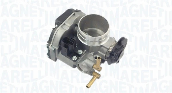 Throttle Body (802000000035)
