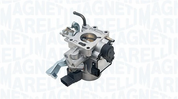 Throttle Body (802000000005)