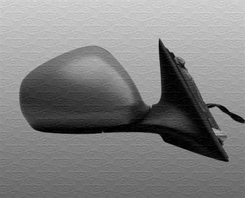 Exterior Mirror (350314027760)