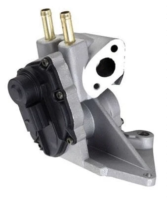 EGR Valve (359000603960)