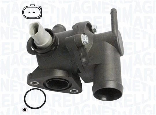 Thermostat, coolant (352317102100)