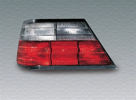 Tail Light Assembly (714098290301)