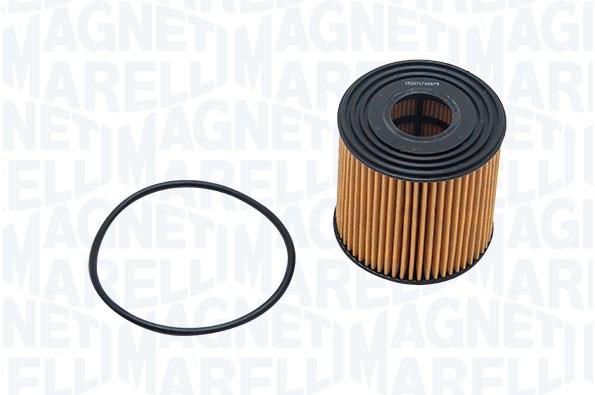 Oil Filter (152071760875)