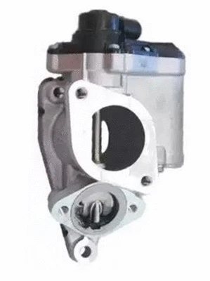 EGR Valve (359000604160)