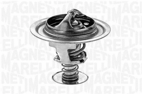 Thermostat, coolant (352030277000)
