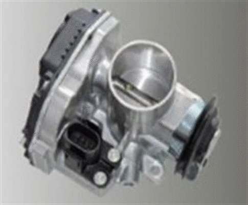 Throttle Body (359000602710)