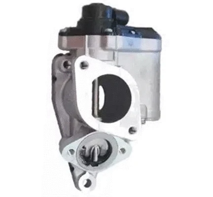 EGR Valve (571822112140)