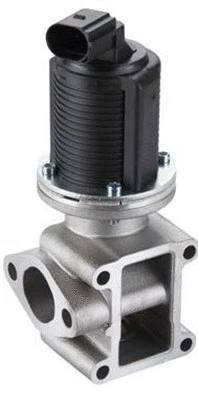 EGR Valve (359000604480)