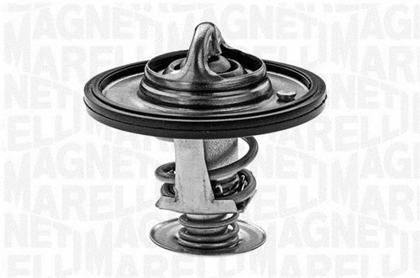Thermostat, coolant (352053379000)