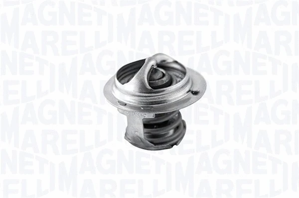 Thermostat, coolant (352029477000)