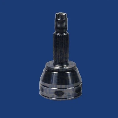 Joint Kit, drive shaft (302015100123)