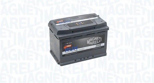 Starter Battery