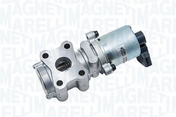 EGR Valve (572022112005)
