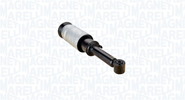 Air Suspension Strut (350758000001)
