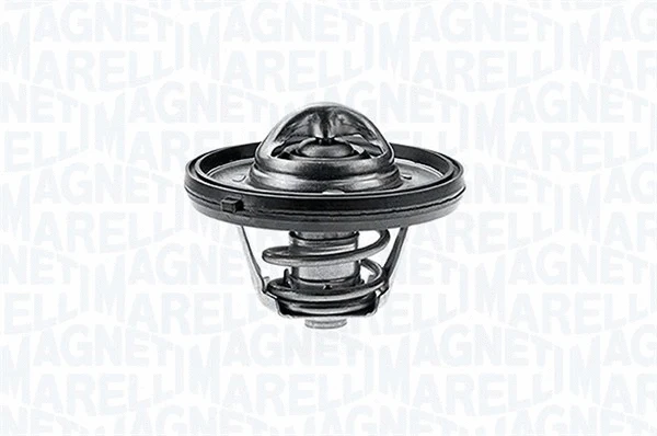 Thermostat, coolant (352042088000)