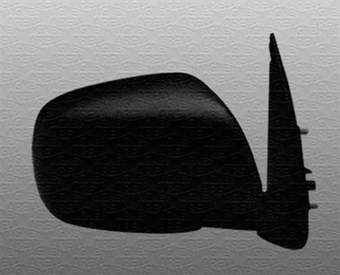 Exterior Mirror (351991143110)