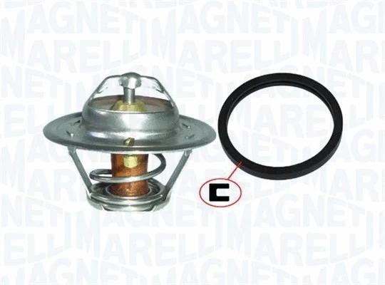 Thermostat, coolant (352317101850)