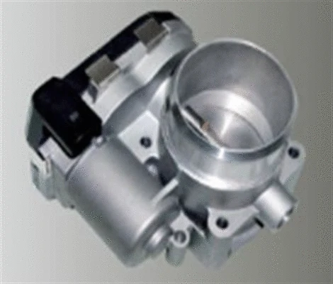 Throttle Body (359000602570)