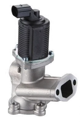 EGR Valve (359000604420)