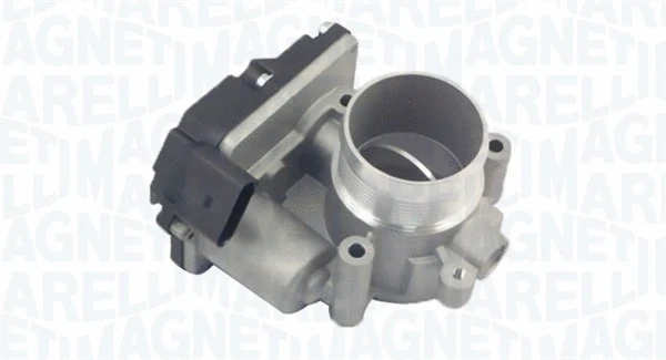 Throttle Body (802000000033)