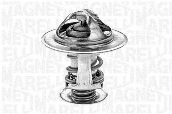 Thermostat, coolant (352053082000)