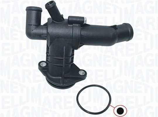 Thermostat, coolant (352317102110)