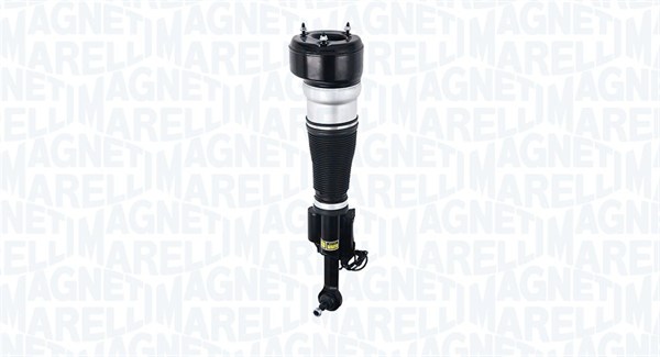 Air Suspension Strut (350401300001)