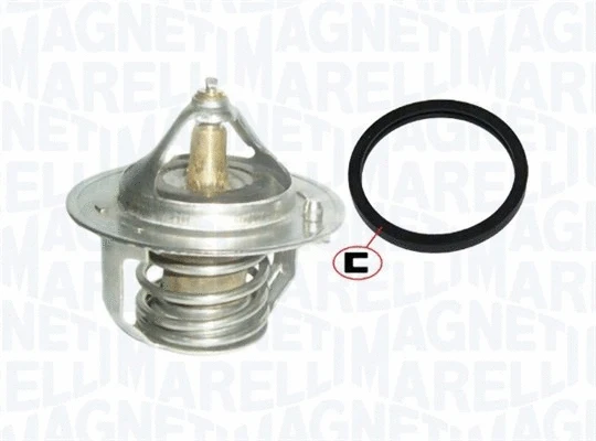 Thermostat, coolant (352317101760)