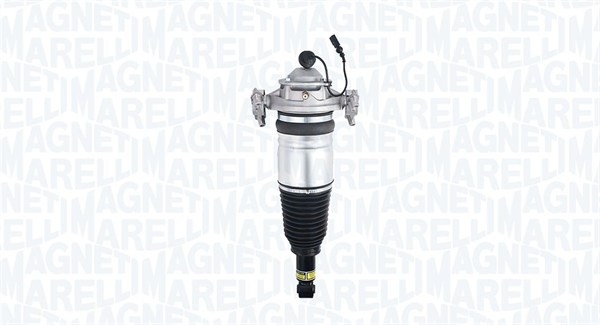 Air Suspension Strut (350052000001)