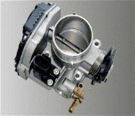 Throttle Body (359000602750)