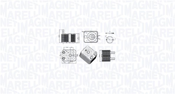 Oil Cooler, engine oil (350300003100)