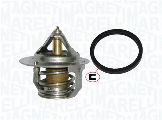 Thermostat, coolant (352317100610)