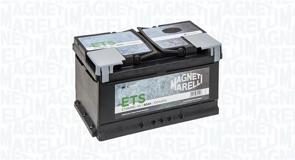 Starter Battery