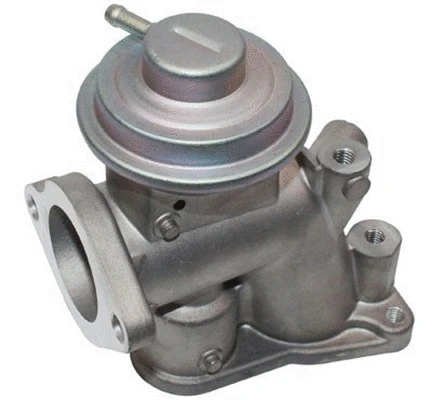 EGR Valve (571822112118)