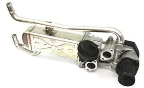 EGR Valve (359000603800)