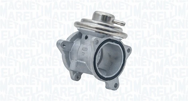 EGR Valve (571822112082)