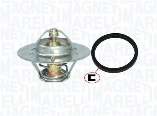 Thermostat, coolant (352317102040)