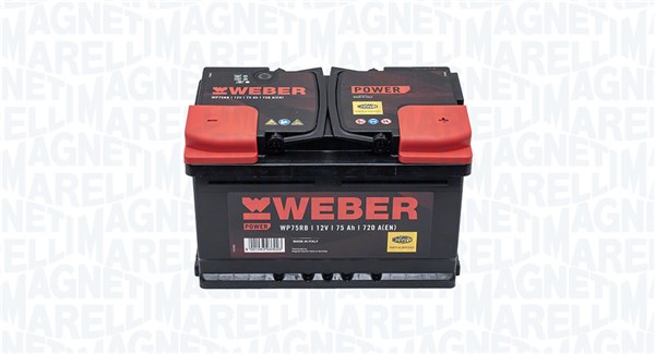 Starter Battery
