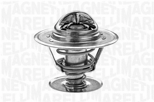Thermostat, coolant (352023484000)