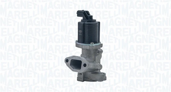 EGR Valve (571822112001)