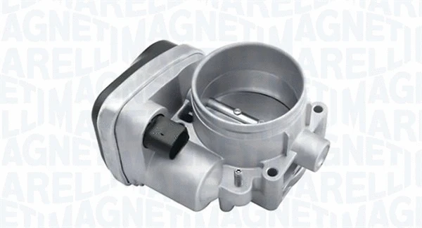 Throttle Body (802000000061)
