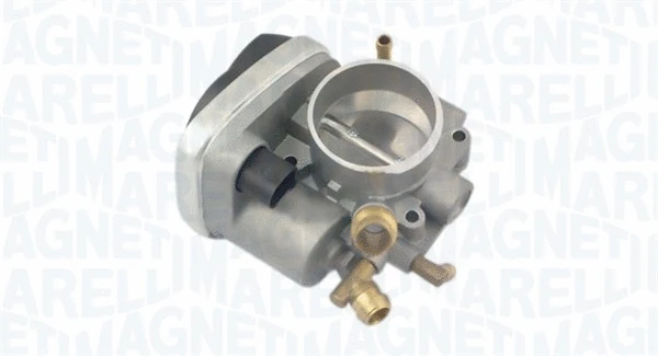 Throttle Body (802000000065)