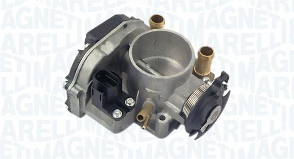 Throttle Body (802000000045)