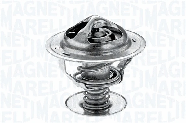 Thermostat, coolant (352053688000)