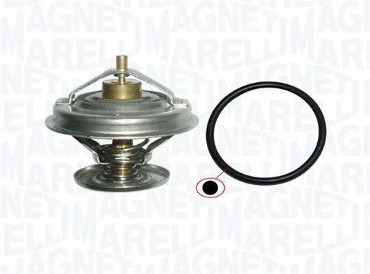 Thermostat, coolant (352317003920)