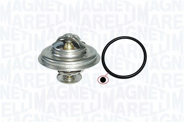 Thermostat, coolant (352317001290)